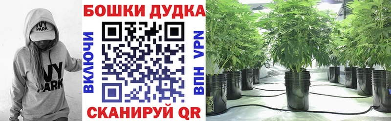 Виды наркоты Ртищево Канабис Псилоцибиновые грибы MDMA Амфетамин Кокаин ГАШ Меф Альфа ПВП